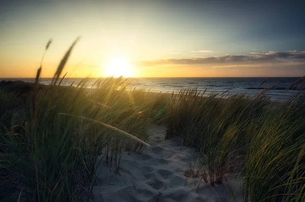 Ein Strand Mit Grünem Gras Und Sand Bei Sonnenaufgang Morgen — Stockfoto