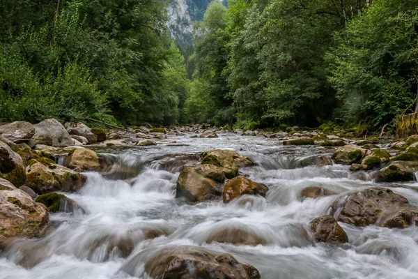 Piękny Widok Rzekę Wody Płynącej Kamieniach Lesie — Zdjęcie stockowe
