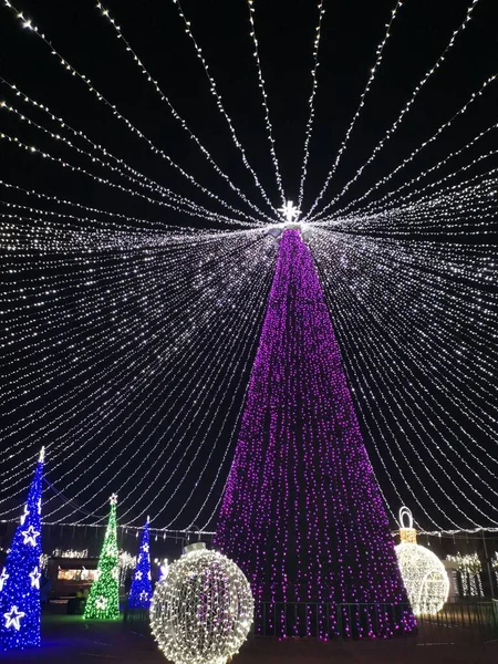 Une Belle Vue Sur Arbre Noël Brillant Dans Parc Pendant — Photo