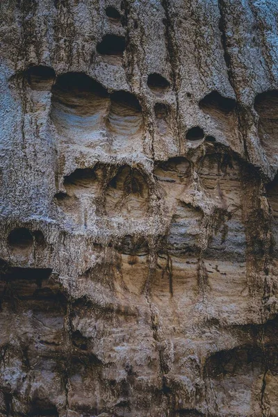 Kayalık Bir Uçurumun Dikey Görüntüsü — Stok fotoğraf