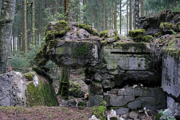 Mossige Resten Van Een Oude Bunker Hurtgen Forest Duitsland — Stockfoto