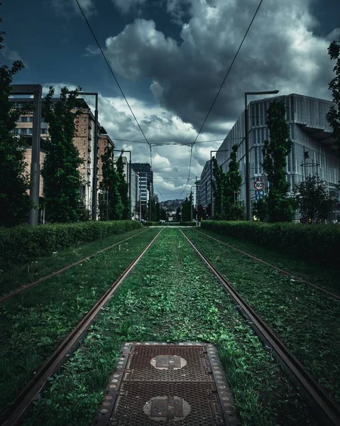 Vertikal Bild Spårvagnslinjer Som Korsar Genom Byggnaderna Med Gröna Häckar — Stockfoto