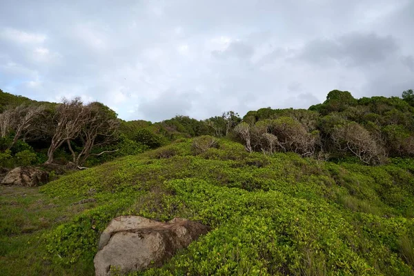美丽的绿色岩石山谷 绿树成荫 绿草茂盛 — 图库照片