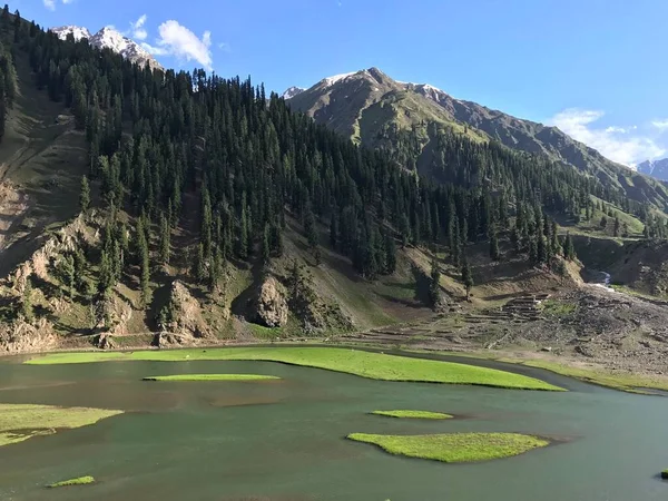 青い空の下 山の上の湖と緑の木々の美しい景色 — ストック写真