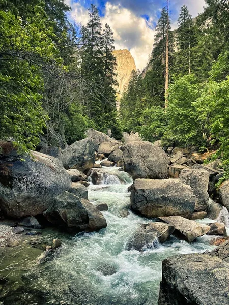 Rzeka Biegnąca Przez Bujny Zielony Las Skałami — Zdjęcie stockowe