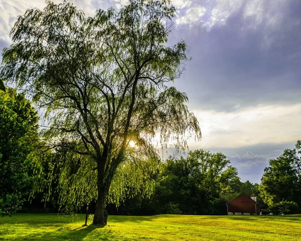 Ένα Τοπίο Γρασίδι Όμορφα Πράσινα Δέντρα Κάτω Από Συννεφιασμένο Ουρανό — Φωτογραφία Αρχείου