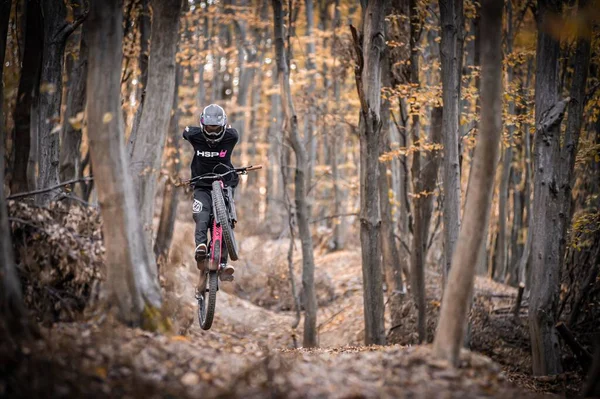 骑手在森林里玩自行车把戏时穿着冬青帽衫的照片 — 图库照片