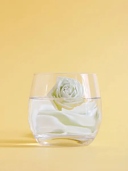 Крупним Планом Склянку Води Тонкою Білою Трояндою Ній Ізольовані Пастельному — стокове фото