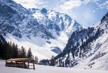 Ağaçlarla kaplı dağ manzaralı karlı bir hava manzarası