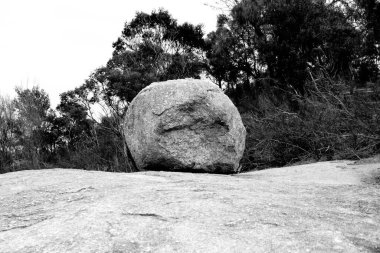 Yemyeşil bitki örtüsüne karşı dev bir kayanın gri pulu.