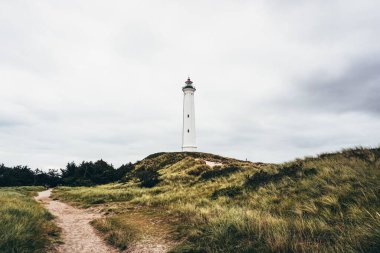 Ormandaki güzel bir deniz fenerinin alçak açılı görüntüsü