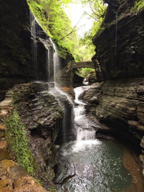 Gündüz vakti Watkins Glen Eyalet Parkı 'nda güzel bir şelalenin dikey görüntüsü.