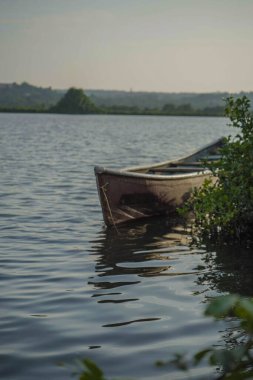 Küçük bir teknenin dikey görüntüsü yeşil bitkilerin arkasında denize yanaşmış.