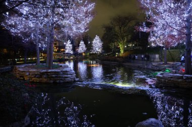 Akşamları Noel 'de süslü ağaçlarla dolu bir park.