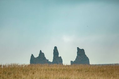 Vik, İzlanda 'da Reynisdrangar kaya oluşumları olan otlak bir arazinin manzarası.