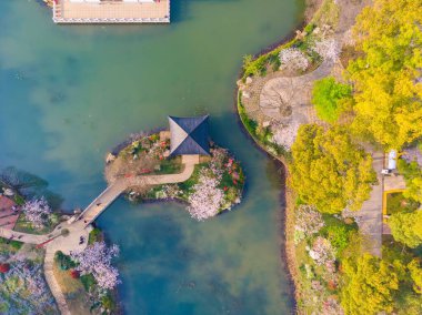 Doğu Gölü Kiraz Çiçeği Parkı (Wuhan Moshan Moshan Kiraz Çiçeği Parkı olarak da bilinir) Wuchang Bölgesi 'nin doğu gölü bölgesinde bir parktır.