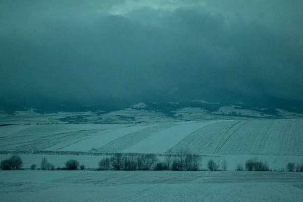 暗い日の夜明けに雪の木々や山々と冬の風景 — ストック写真