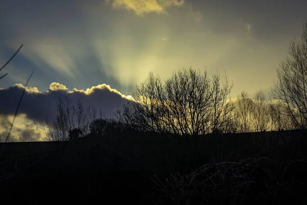 Gün Batımında Bulutlu Gökyüzüne Karşı Bir Tarladaki Kış Ağaçlarının Silueti — Stok fotoğraf