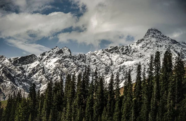 Malebný Záběr Lesa Zasněžené Hory Zimě — Stock fotografie