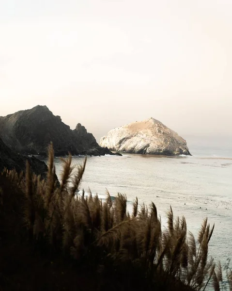 海岸に茶色の小麦草を持つ岩の島の垂直ショット — ストック写真