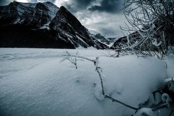 山の風景を背景に雪に覆われたフィールドの冷たい景色 — ストック写真