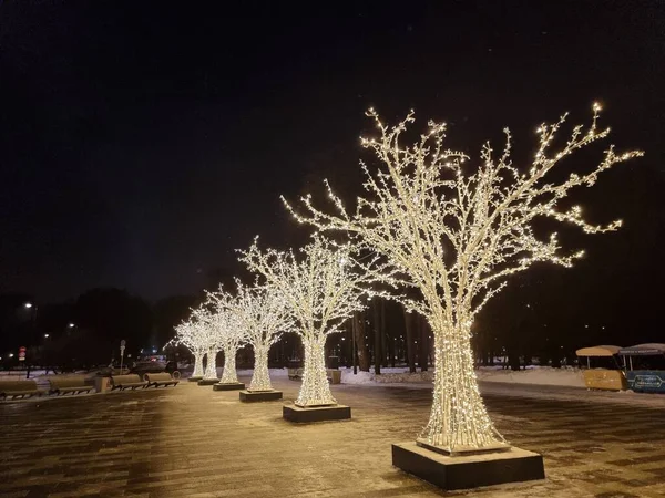 stock image A row of trees decorated with little lamps as Christmas and New Year decorations