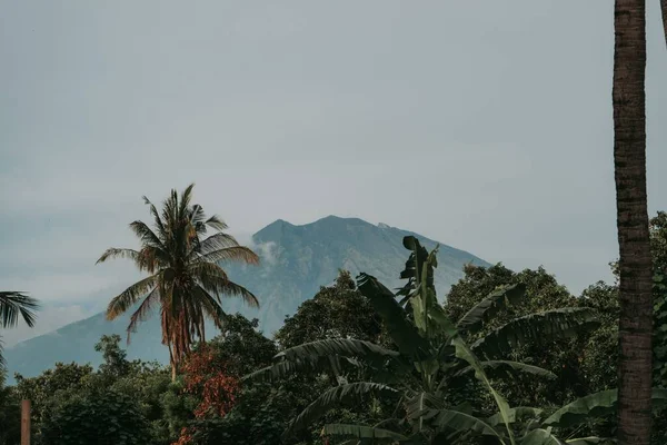 Pohled Tropické Stromy Mount Agung Pozadí Tulamben Bali Indonésie — Stock fotografie