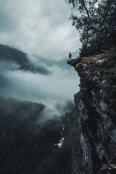 霧深い森に面した岩場の崖の端に男の垂直ドローンショット — ストック写真