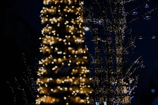 Pohled Vánoční Světla Noci — Stock fotografie