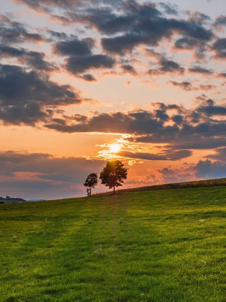 Uma Paisagem Uma Árvore Prados Abaixo Céu Pôr Sol Dramático — Fotografia de Stock
