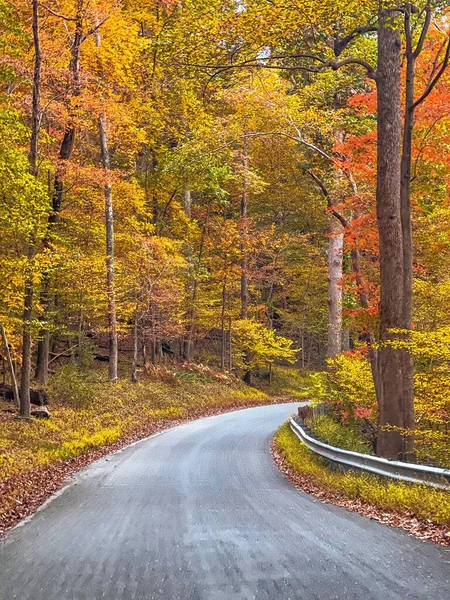 Eine Kurvenreiche Straße Dichten Herbstwald — Stockfoto