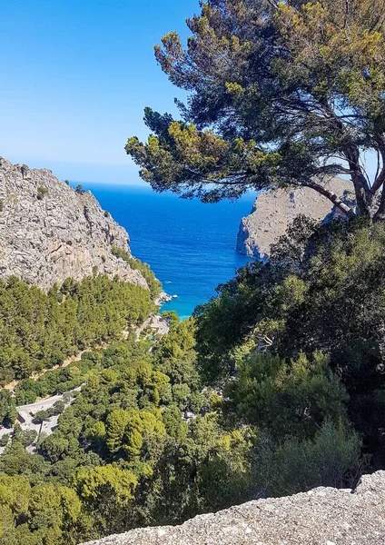 Eine Vertikale Aufnahme Des Spanien Mallorca Anblick Der Öffnung Des — Stockfoto