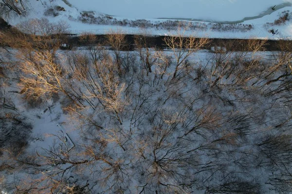 Widok Góry Drzew Lesie Wzdłuż Autostrady Śnieżny Zimowy Dzień — Zdjęcie stockowe