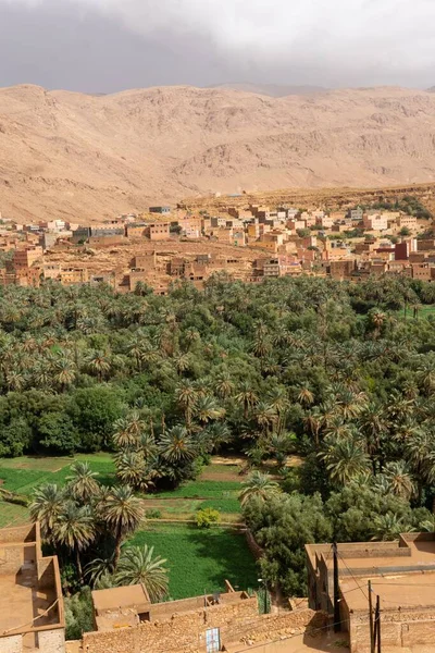 Vertikal Staden Ouarzazate Marocko Saharaöknen Omgiven Gröna Träd Och Kullar — Stockfoto