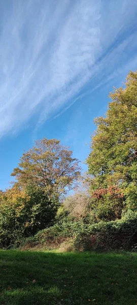 Ένα Πράσινο Γρασίδι Και Δέντρα Συννεφιασμένο Γαλάζιο Ουρανό — Φωτογραφία Αρχείου