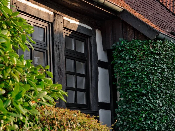 Okno Starego Domu Muru Pruskiego Oprawione Przez Różne Zielone Rośliny — Zdjęcie stockowe