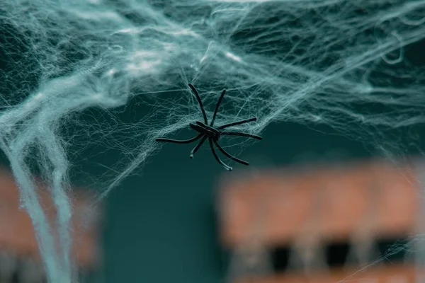 Yapay Örümcek Ağında Oyuncak Bir Örümcek Cadılar Bayramı Parti Dekorasyonu — Stok fotoğraf