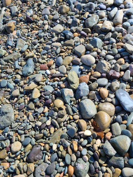Pedras Coloridas Costa Catalina — Fotografia de Stock