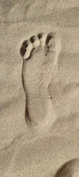 Eine Vertikale Draufsicht Eines Fußabdrucks Auf Sandigem Boden — Stockfoto