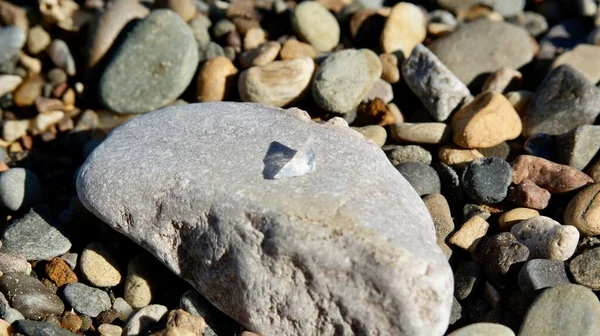 Ein Glas Auf Einem Felsen Strand Großaufnahme — Stockfoto