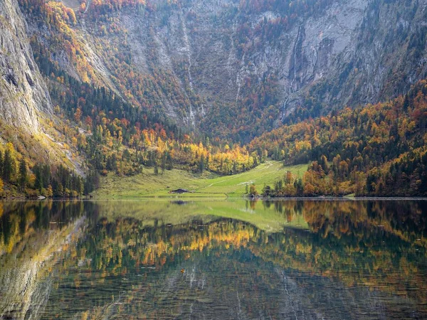 Alacsony Látószögű Kilátás Egy Gyönyörű Erdő Közelében Lake Konigssee Németország — Stock Fotó