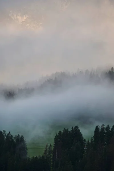 Vertikální Mlhavá Horská Krajina Výhledem Les — Stock fotografie