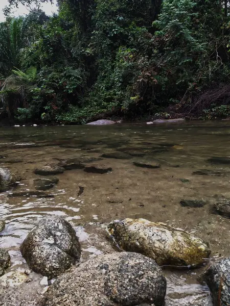Perak Malezya Bir Nehir — Stok fotoğraf