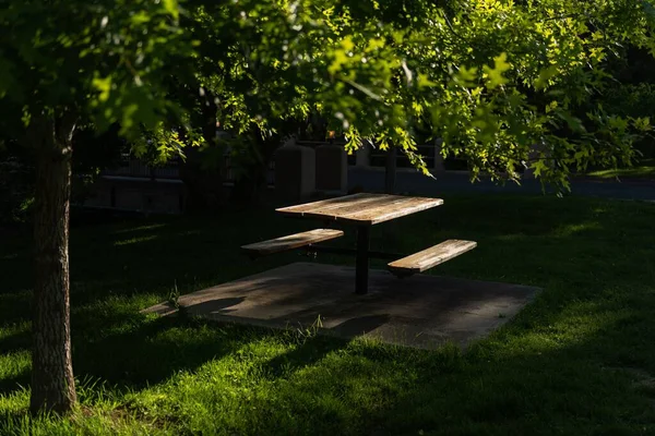 Yeşil Bir Parkta Piknik Masası — Stok fotoğraf