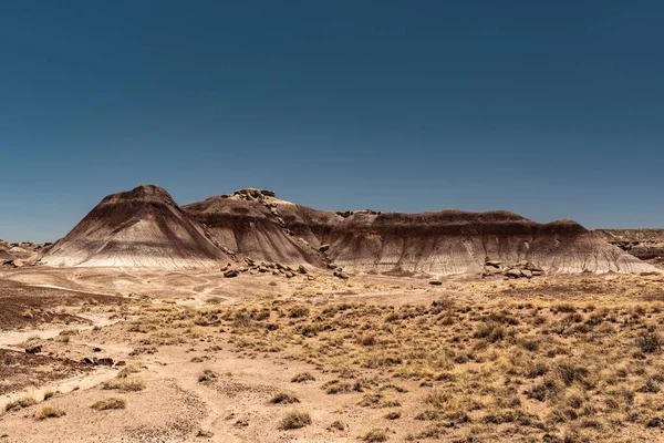 Ένα Τοπίο Βραχώδους Εδάφους Μέσα Στην Έρημο Του Απολιθωμένου Δάσους — Φωτογραφία Αρχείου