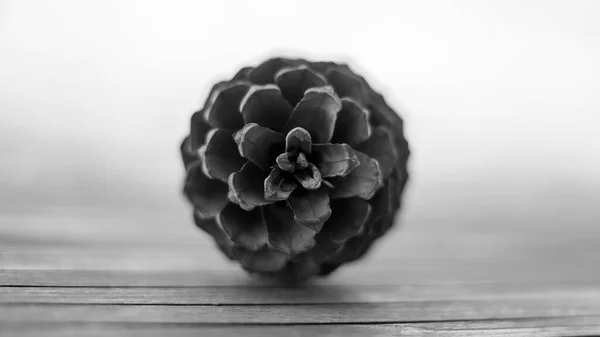 黒と白の円錐形のイメージ — ストック写真
