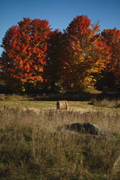 加拿大安大略省秋天牧场上一袋干干草垂直拍摄 — 图库照片