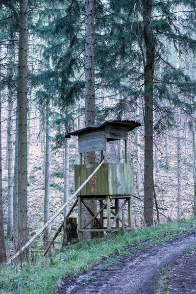 德国巴登 符腾堡森林中一座古老木结构的垂直拍摄 — 图库照片