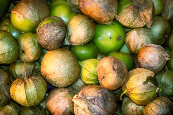 Nad Głową Strzał Tropikalnych Owoców Kilka — Zdjęcie stockowe