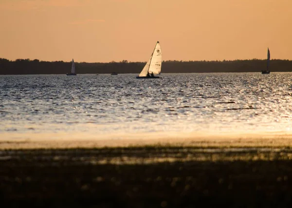 Sailboats Sailing Lake Sunset Summer — Stock Photo, Image